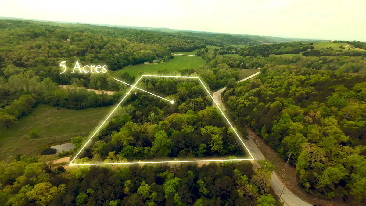 000 County Road 817, Gainesville, MO 65655 - #1