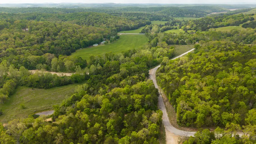 000 County Road 817, Gainesville, MO 65655 - #3