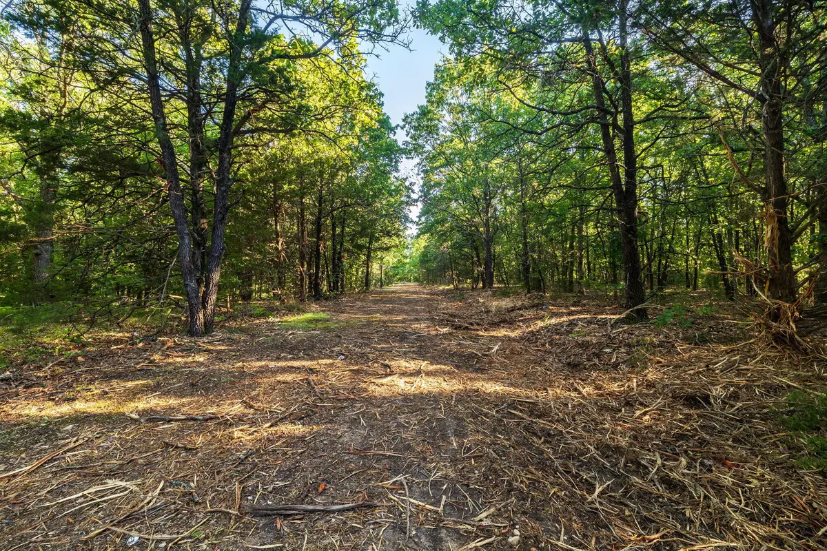 000 SE T Highway, Osceola, MO 64776 - #1