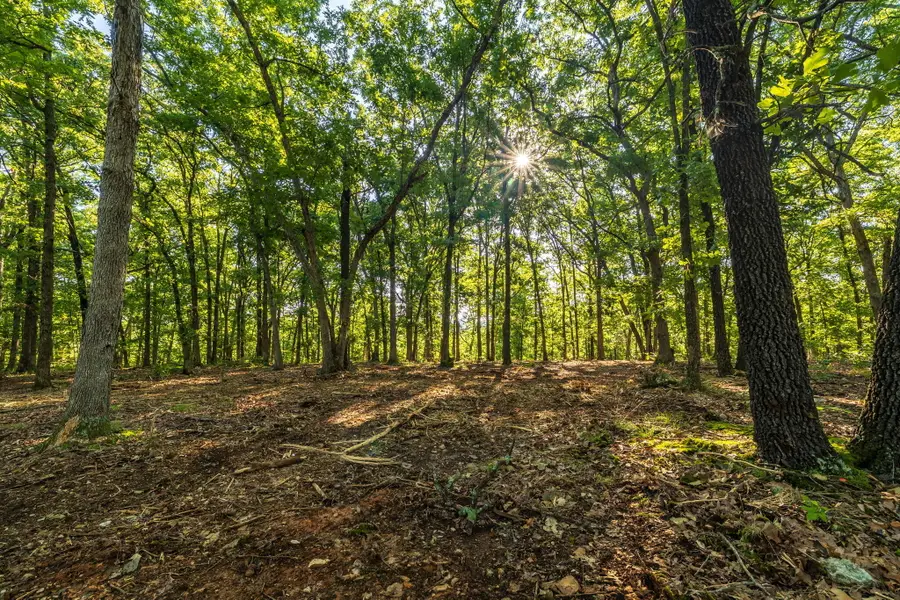 000 SE T Highway, Osceola, MO 64776 - #3