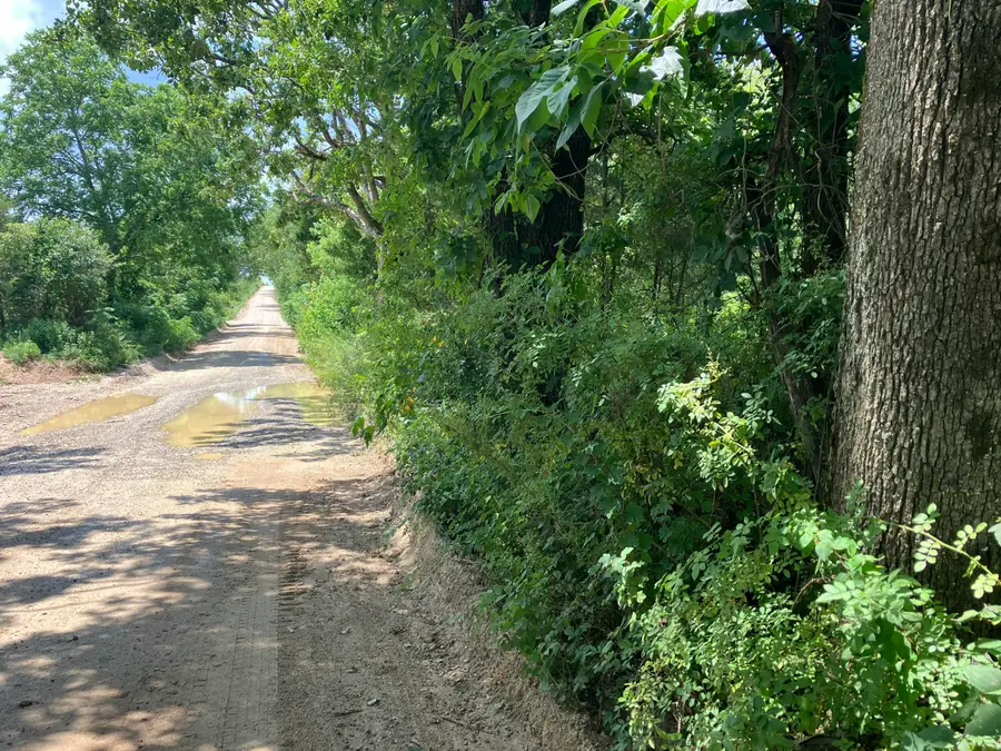 000 County Road 5500, Willow Springs, MO 65793 - #2