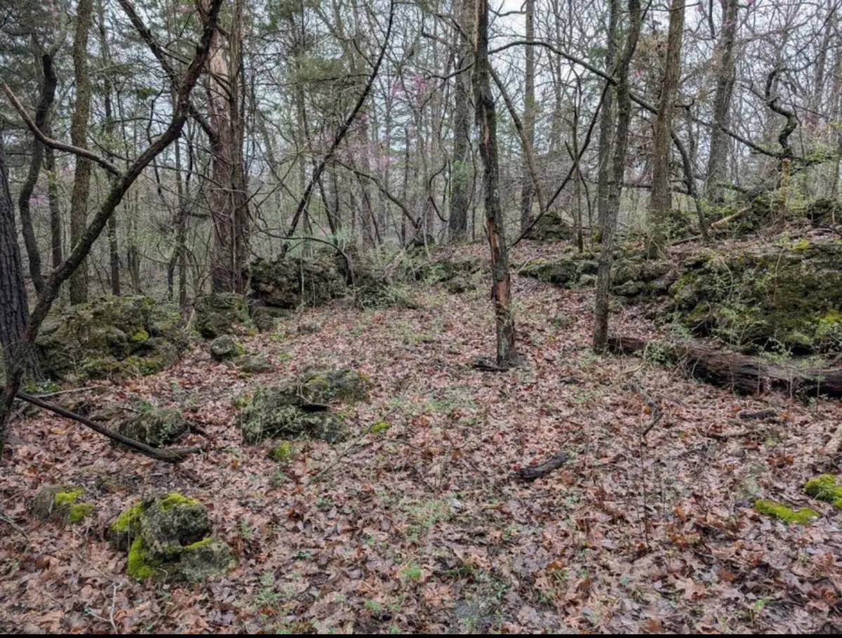000 Grier Branch Road, Strafford, MO 65757 - #1