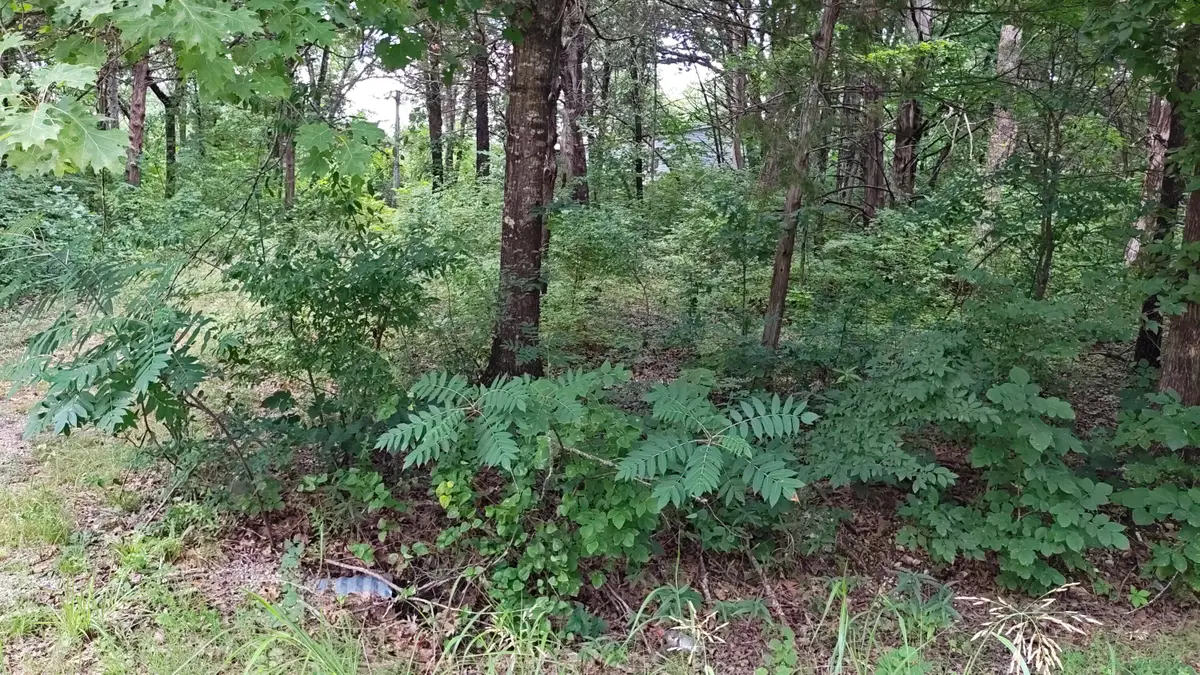 4175 Oakwood Road, Merriam Woods, MO 65740 - #1