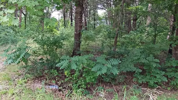 4175 Oakwood Road, Merriam Woods, MO 65740