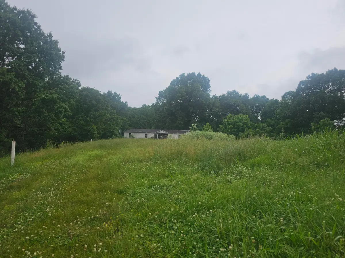 3646 State Highway 173, Galena, MO 65656 - #1