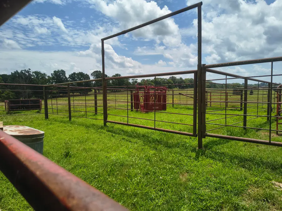 25059 W State Highway Tt, Crane, MO 65633 - #3