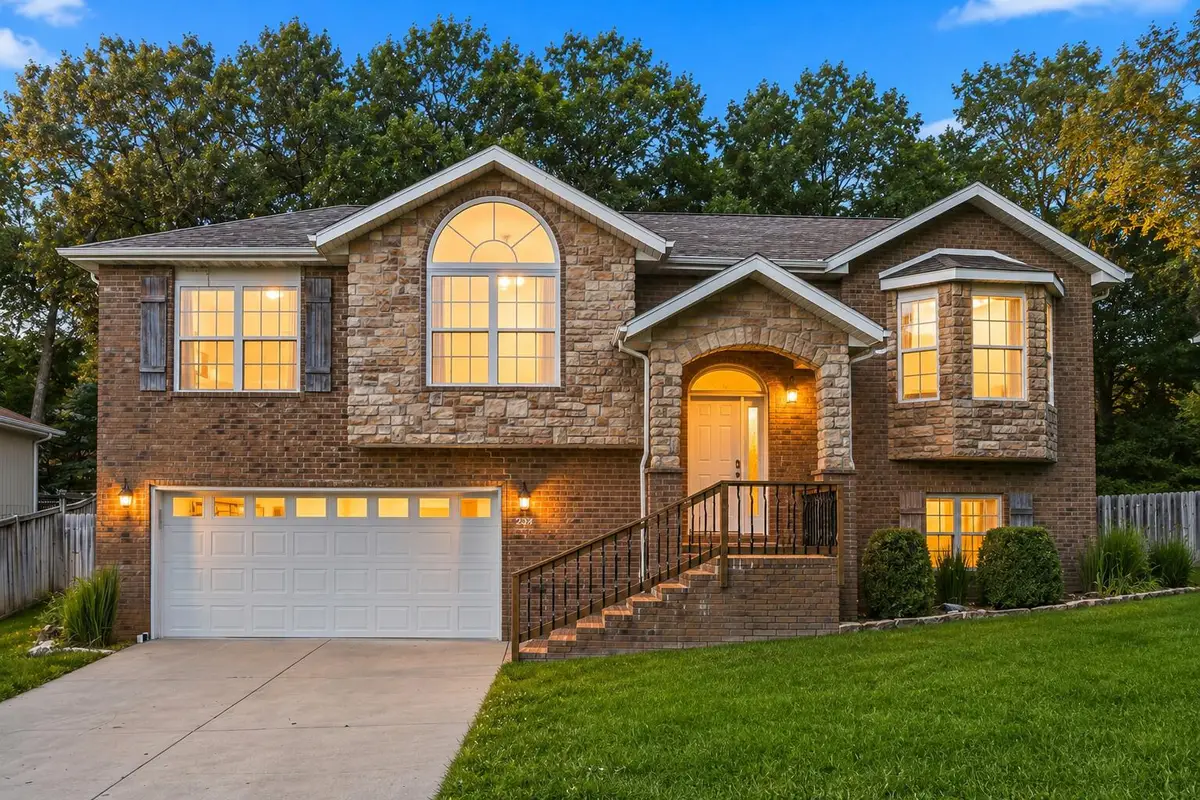 234 Mesquite Drive, Branson, MO 65616 - #1
