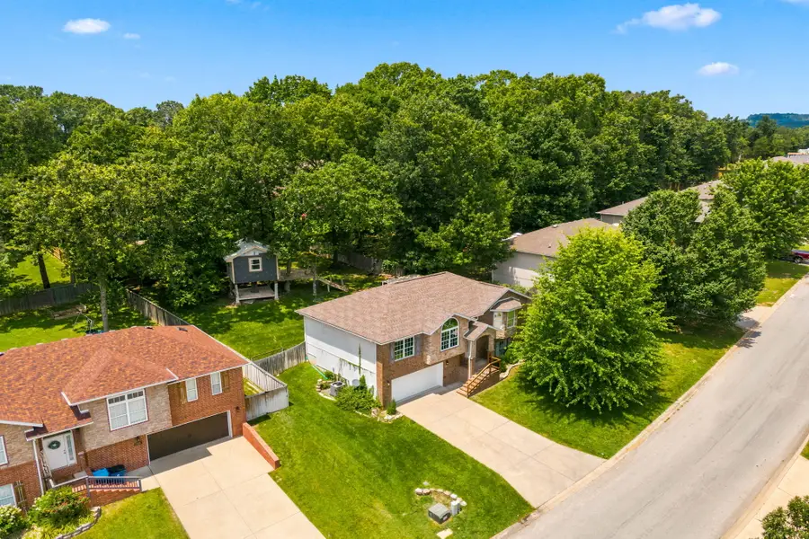 234 Mesquite Drive, Branson, MO 65616 - #3