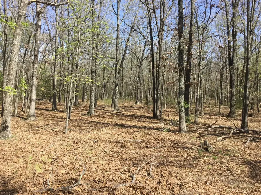 000 Cass Road, Hartville, MO 65667 - #2