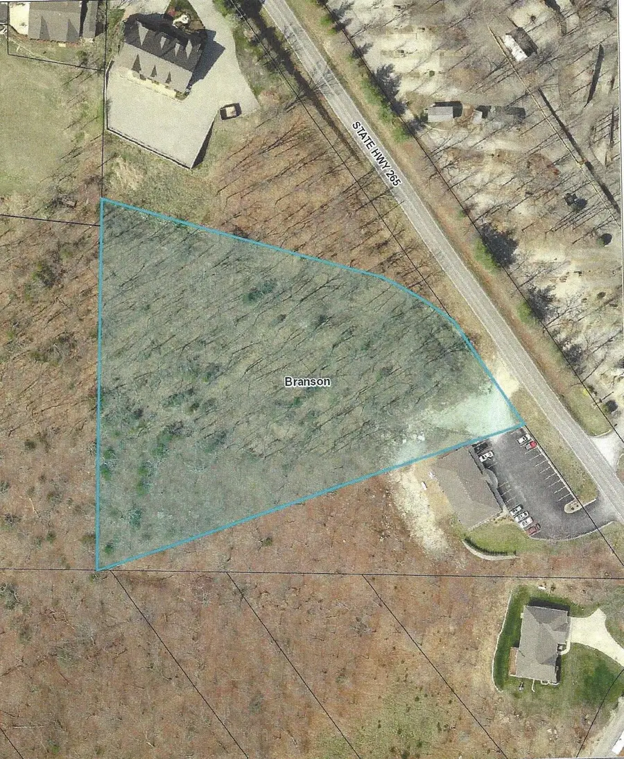 2291 State Hwy 265, Branson, MO 65616 - #2