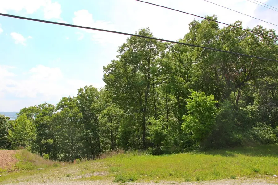2291 State Hwy 265, Branson, MO 65616 - #3
