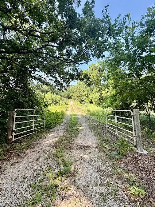 697 Fortune Teller Road, Granby, MO 64844 - #2