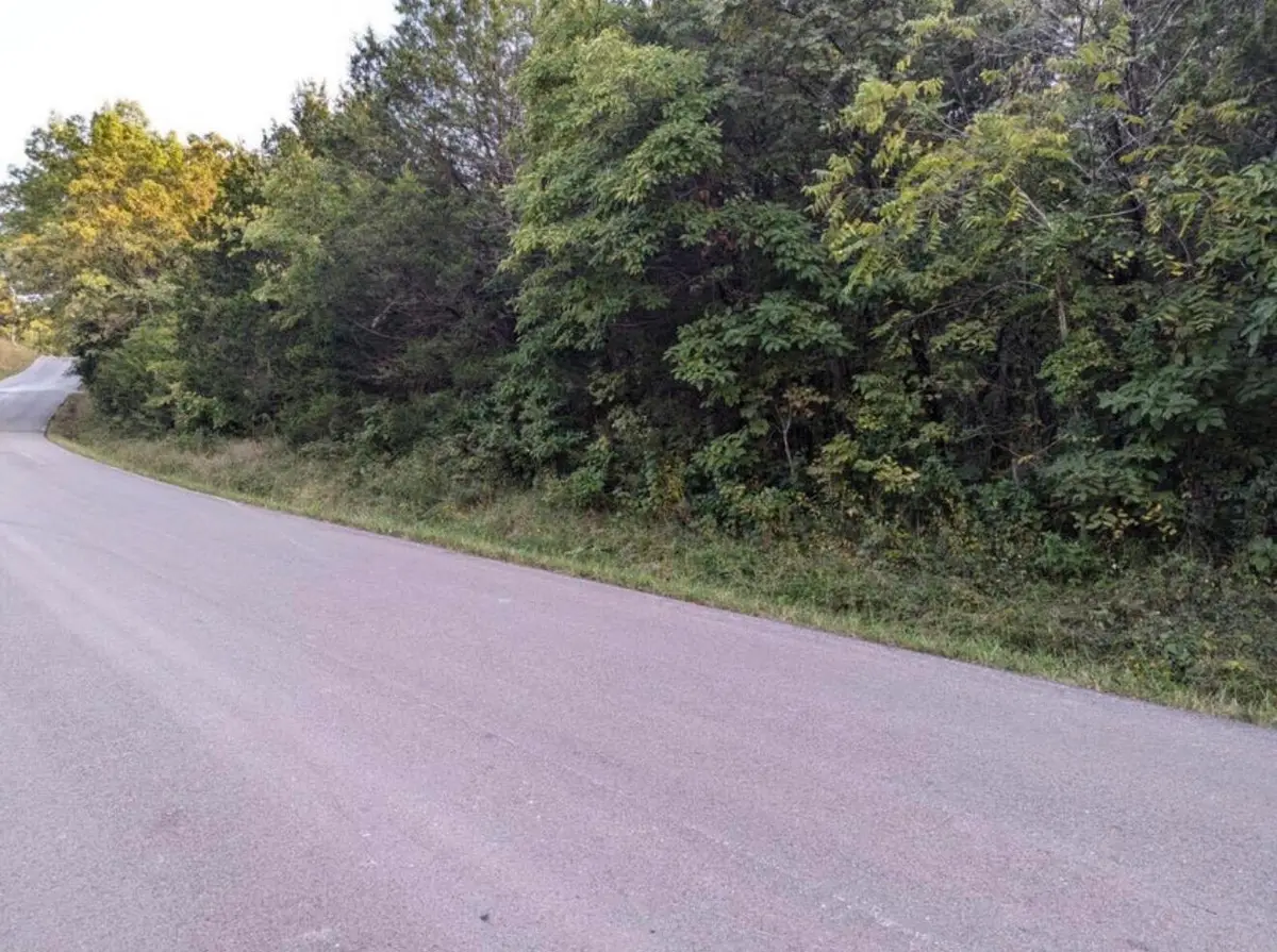 000 Grier Branch Lot 4 Road, Strafford, MO 65757 - #1
