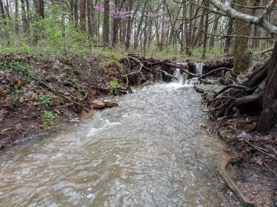 000 Grier Branch Lot 4 Road, Strafford, MO 65757 - #3