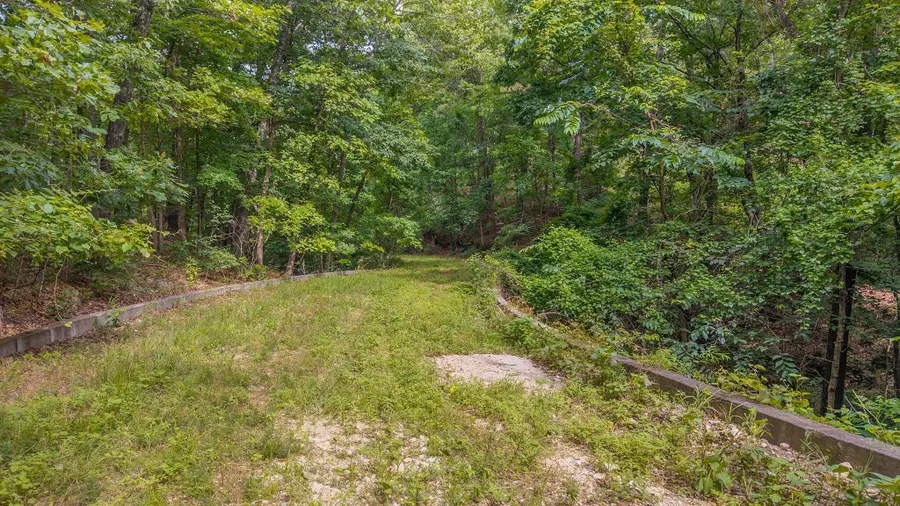 000 State Highway 265, Branson, MO 65616 - #3