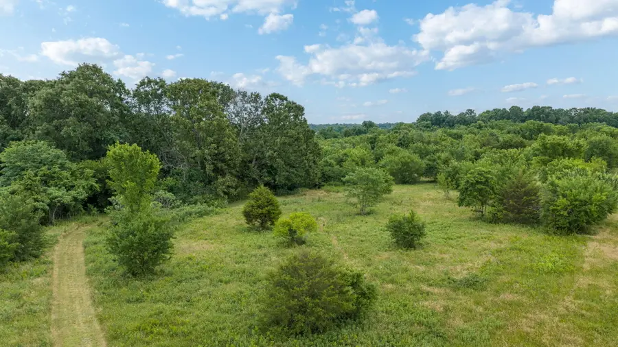 Tbd N Farm Road 71, Bois D Arc, MO 65612 - #2