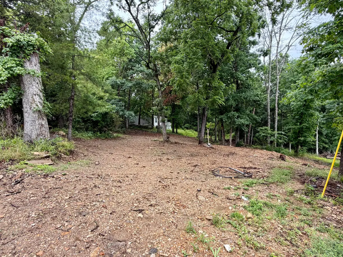 817 Taneycomo Road, Branson, MO 65616 - #1