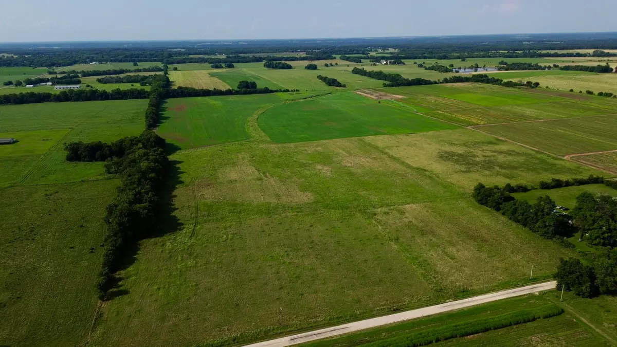 000 Cedar Lane, Reeds, MO 64859 - #1