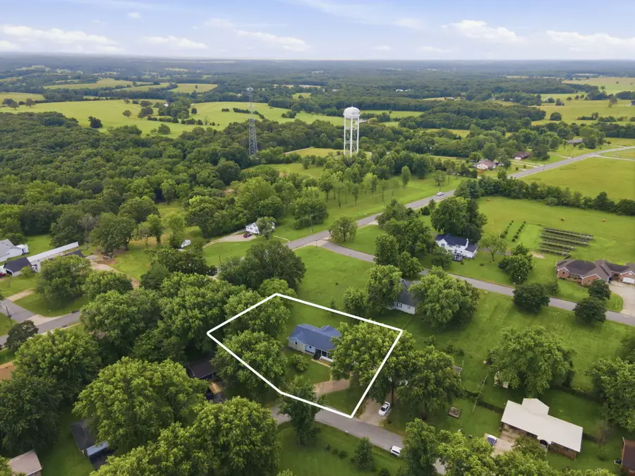602 W Nixon Street, Buffalo, MO 65622 - #3