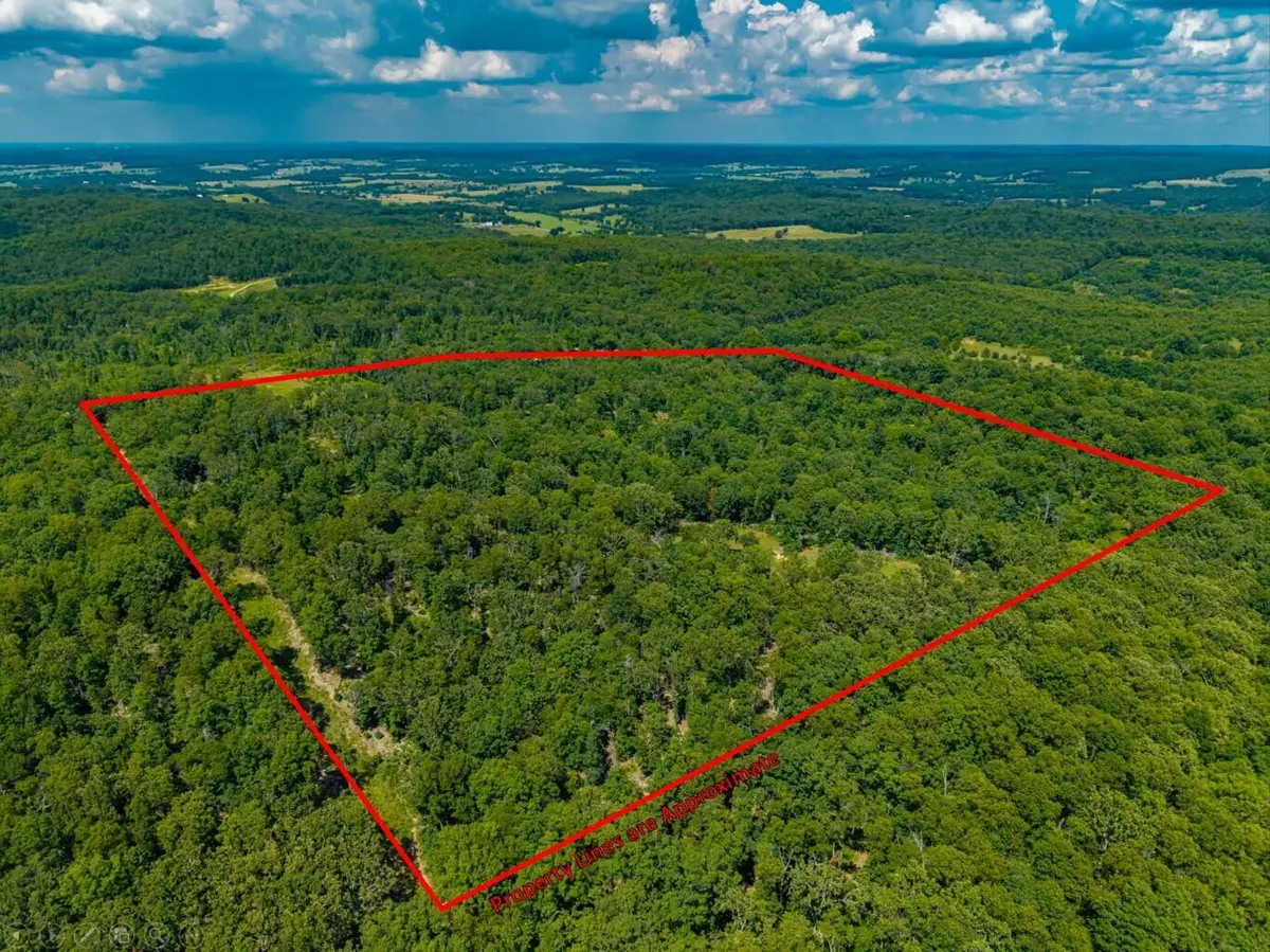 000 Berry Road #S 40, Cabool, MO 65689 - #1