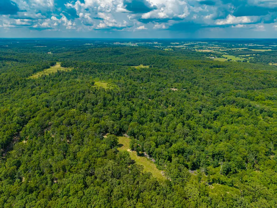 000 Berry Road #S 40, Cabool, MO 65689 - #3