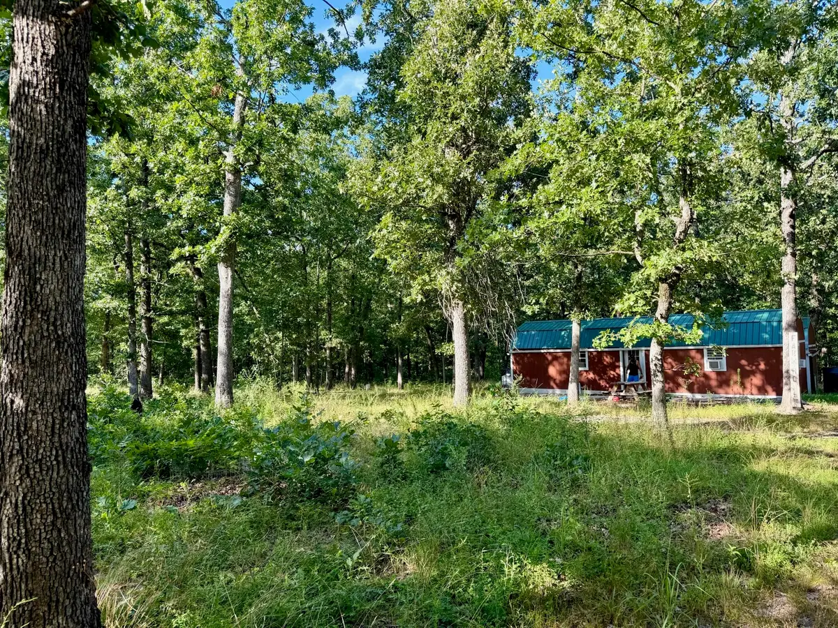 29750 Mauka Drive, Lebanon, MO 65536 - #1
