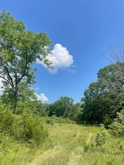 000 Co Rd 304, Ava, MO 65608