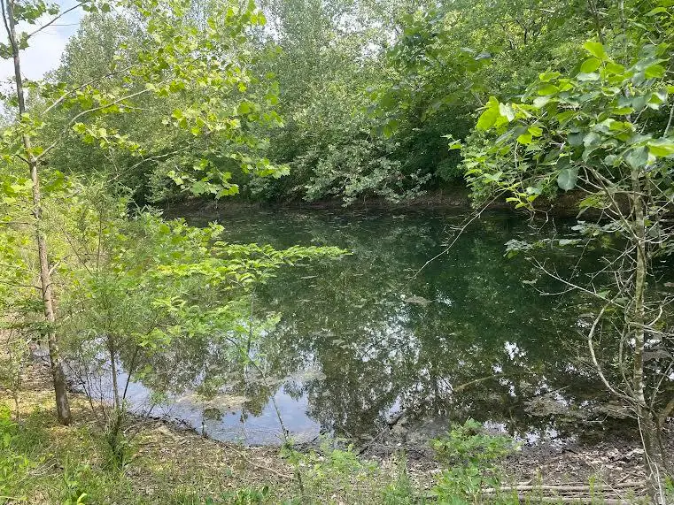 000 Co Rd 304, Ava, MO 65608 - #3