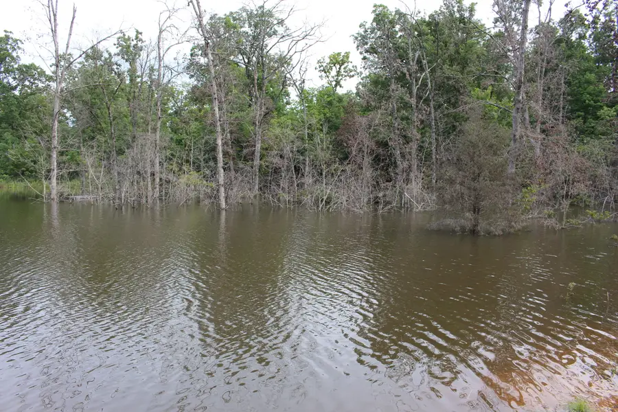 Tbd Kolb Hollow Road, Climax Springs, MO 65324 - #3