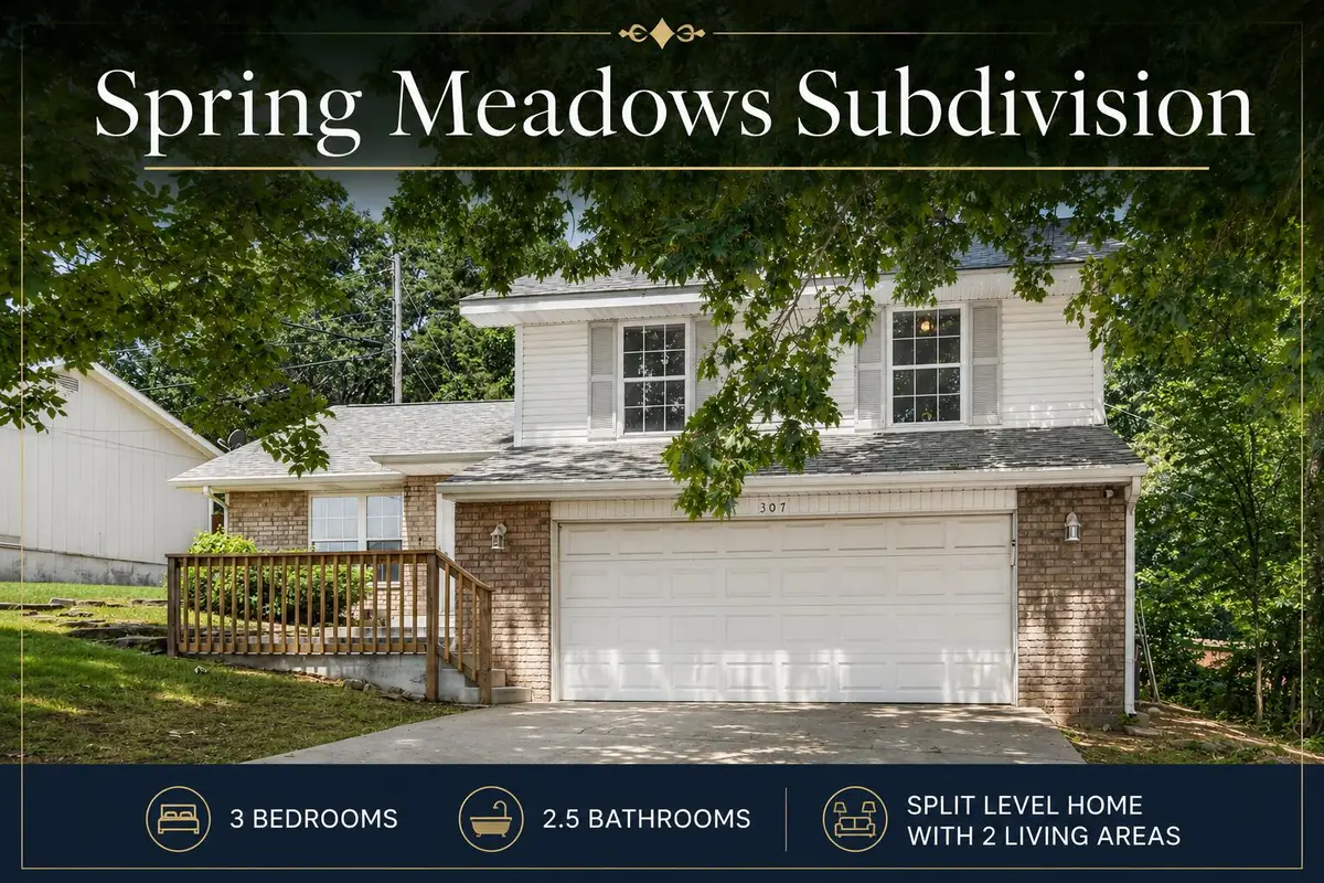 307 Spring Meadow Parkway, Branson, MO 65616 - #1