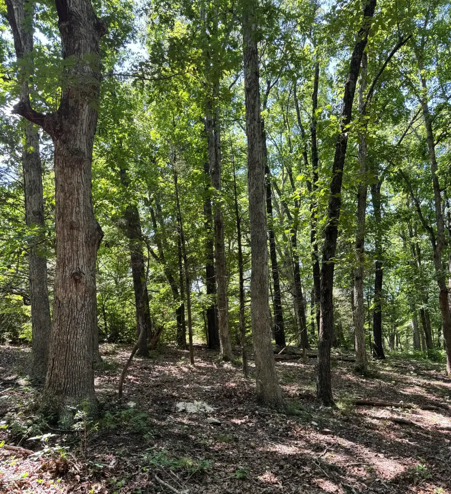 000 Clear Sky Drive, Marshfield, MO 65706 - #3