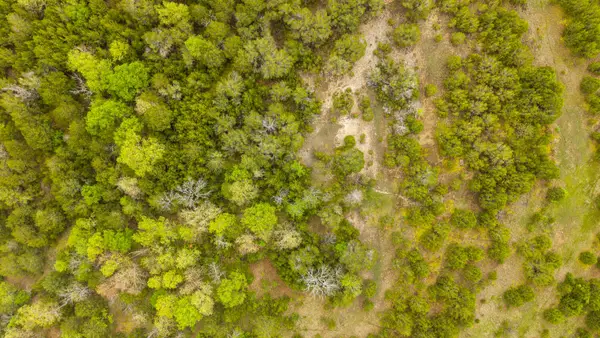 Tract 3 Little Woods Road, Elizabeth, AR 72531