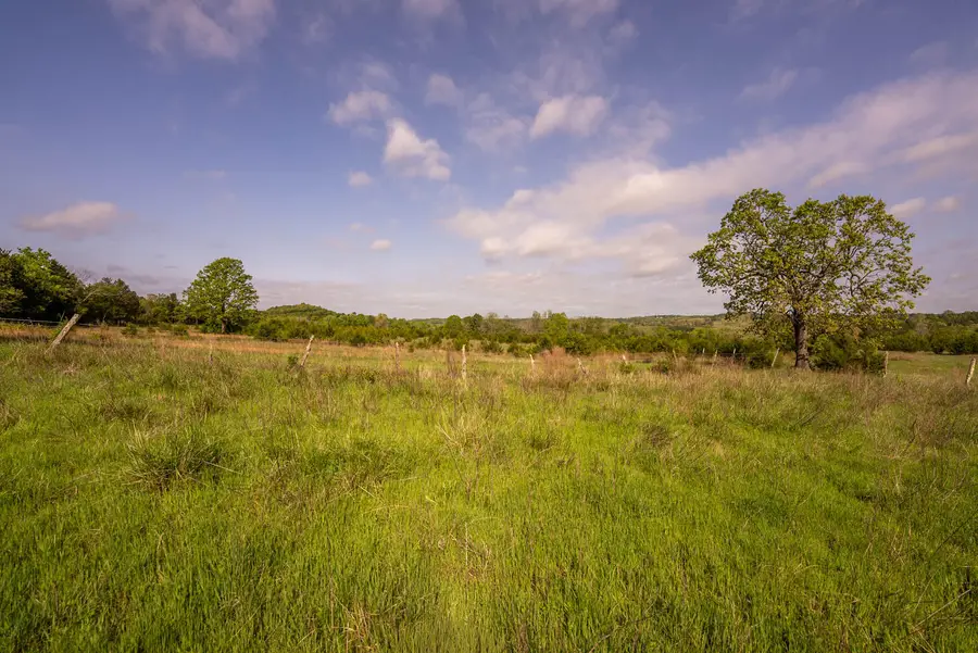 Tract 3 Little Woods Road, Elizabeth, AR 72531 - #3