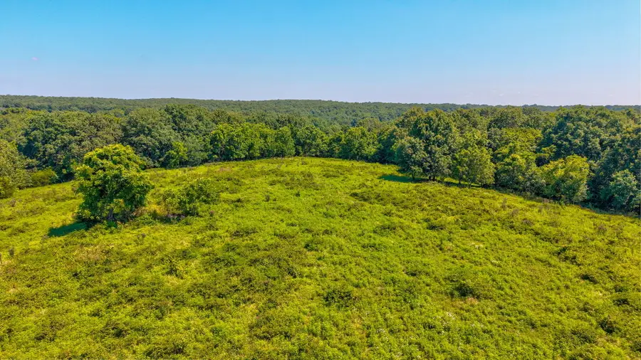Tbd State Highway 174, Mount Vernon, MO 65712 - #3