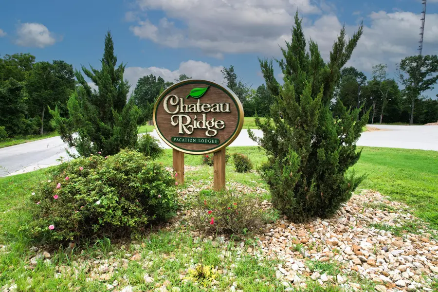 160 Chateau Ridge Trail, Branson, MO 65616 - #2