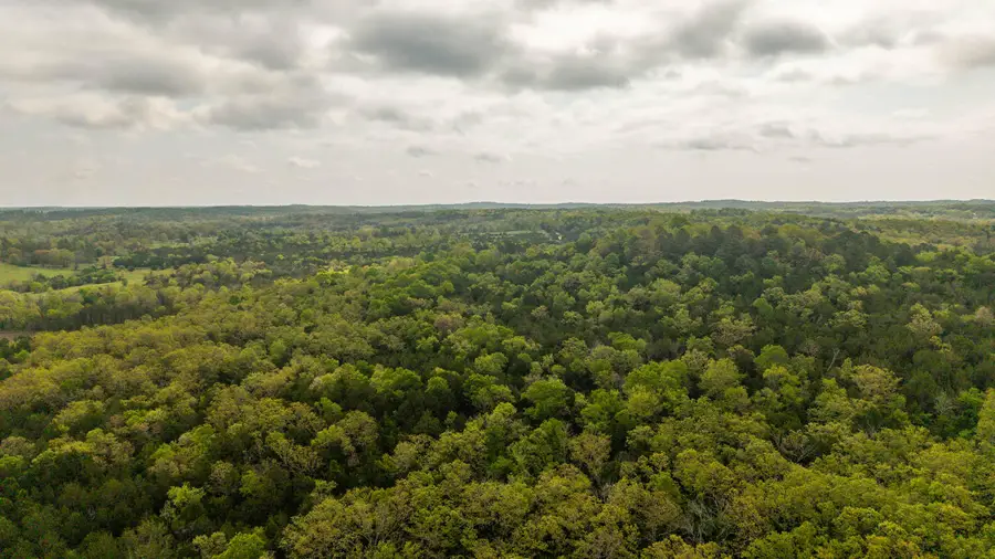 Tract 4 Little Woods Road, Elizabeth, AR 72531 - #3