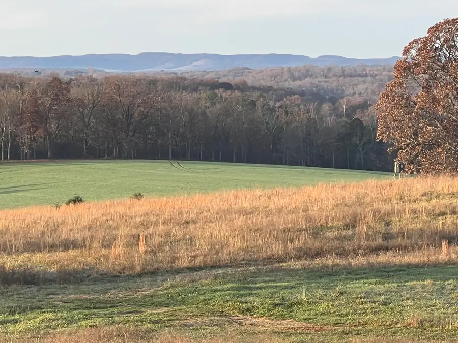 Tbd County Road 14-252, Drury, MO 65638 - #3