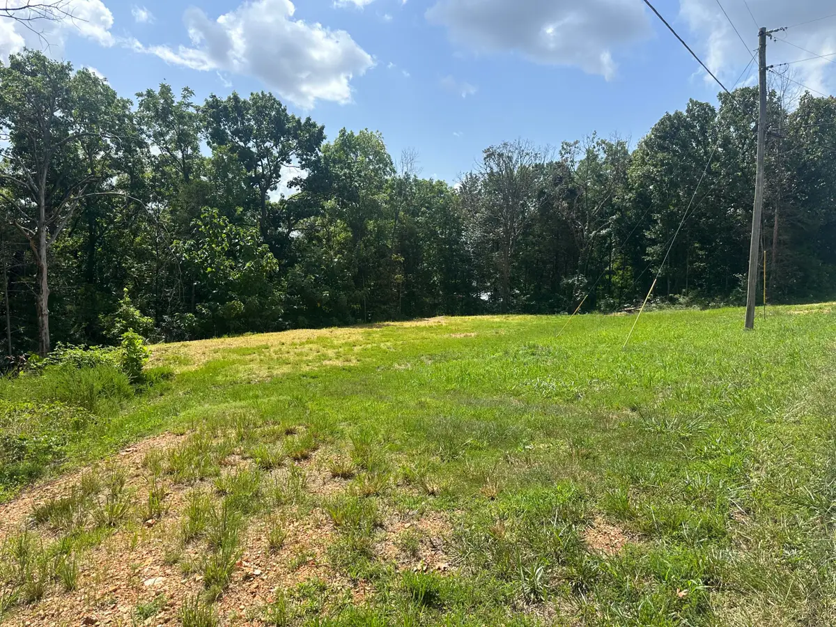 234 Goldfinch Lane, Shell Knob, MO 65747 - #1