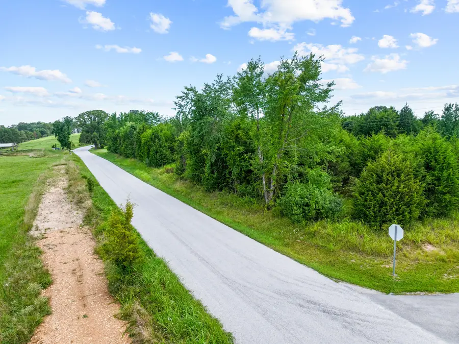 000 Lookout Ridge, Branson, MO 65616 - #3