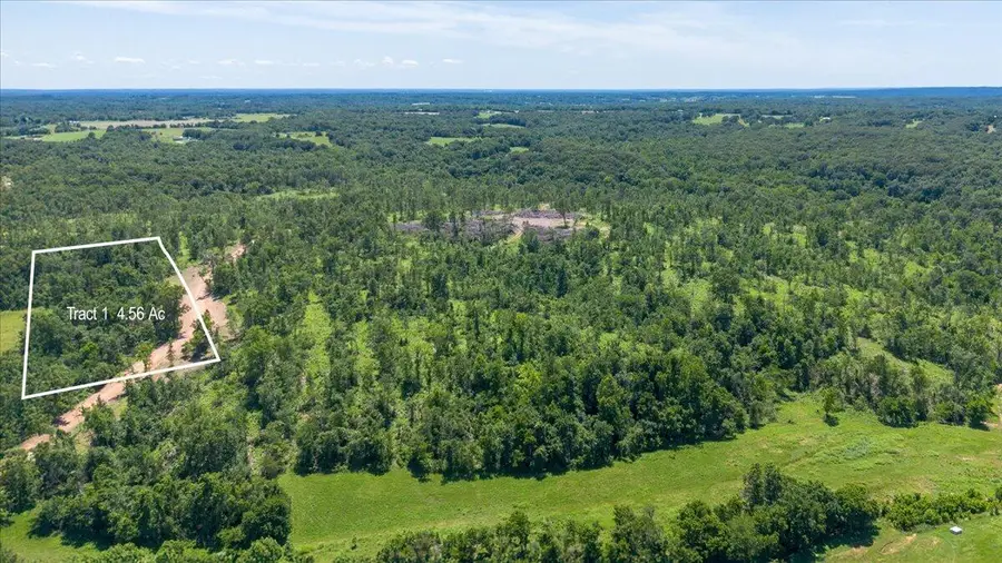 Lot 1 Adams Road, Goodman, MO 64843 - #2