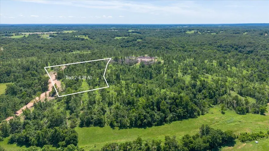 Lot 2 Adams Road, Goodman, MO 64843 - #2