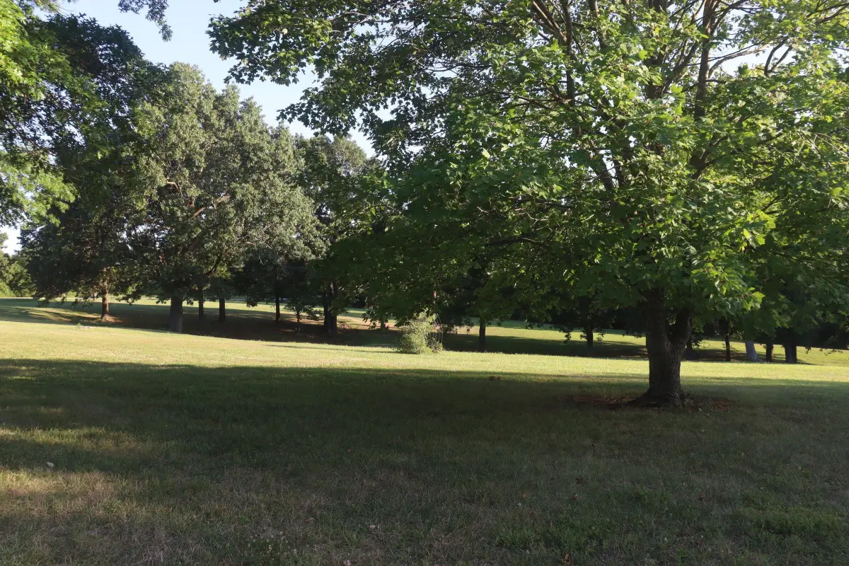 17984 State Highway 248, Cassville, MO 65625 - #1