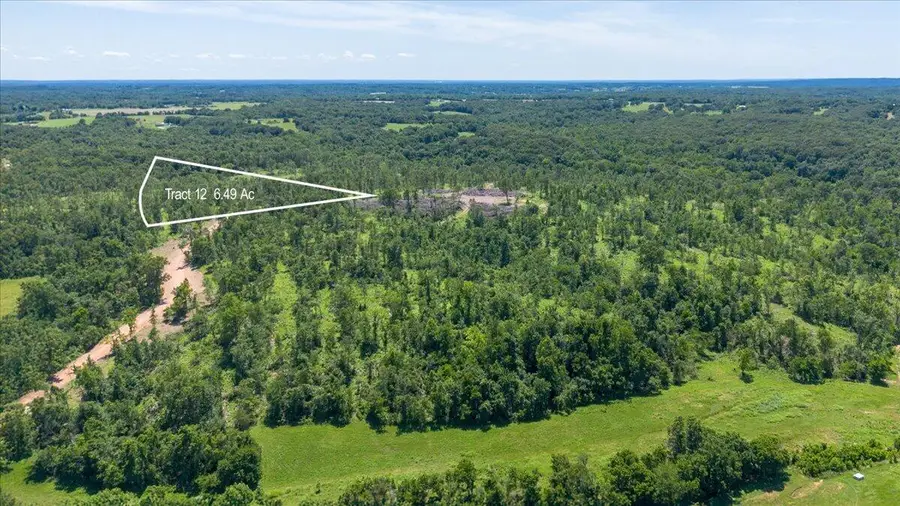 Lot 12 Adams Road, Goodman, MO 64843 - #2
