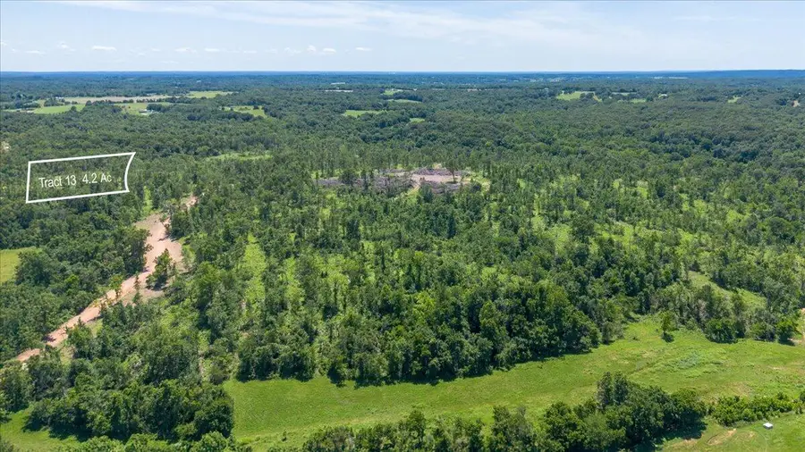 Lot 13 Adams Road, Goodman, MO 64843 - #2
