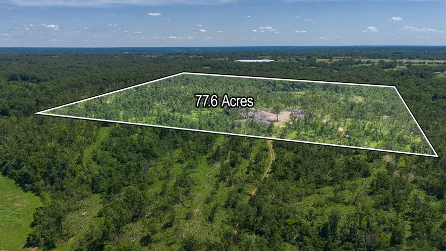 Lot 14 Adams Road, Goodman, MO 64843 - #3