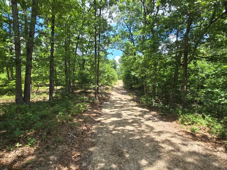Tract 8 Highway C, Purdy, MO 65734 - #2