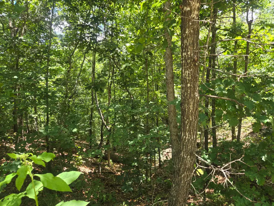 Tract 8 Highway C, Purdy, MO 65734 - #3