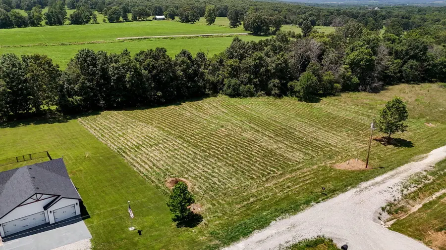 2490 E 549th Road, Buffalo, MO 65622 - #3