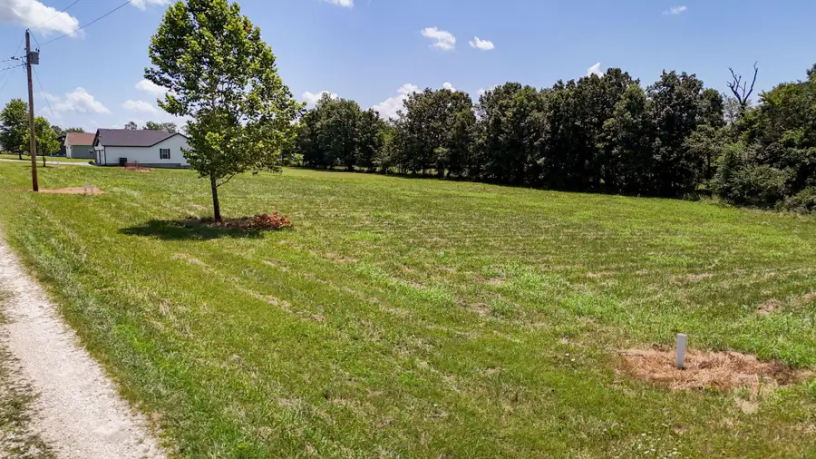 2492 E 549th Road, Buffalo, MO 65622 - #2