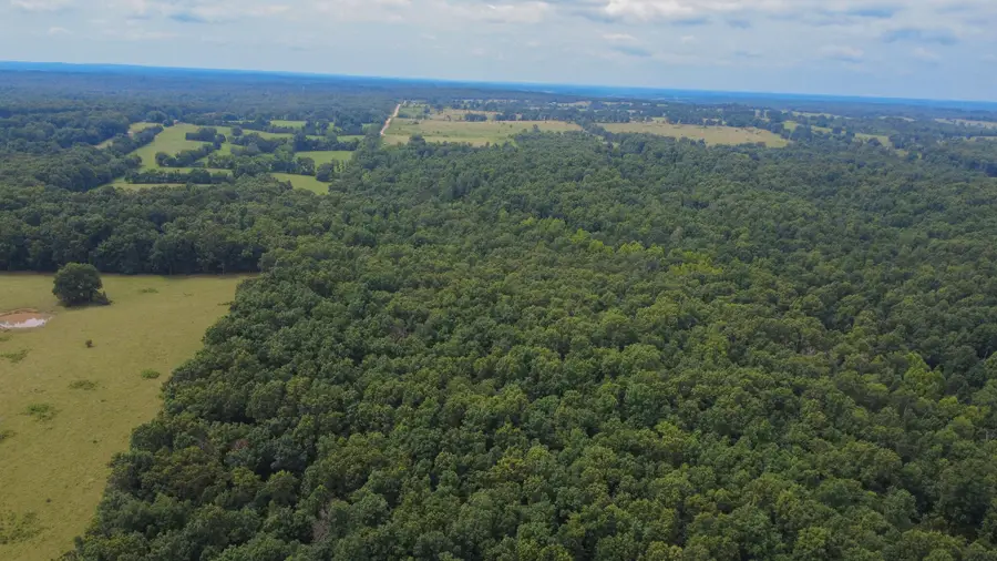 3899 County Road 304, Alton, MO 65606 - #3